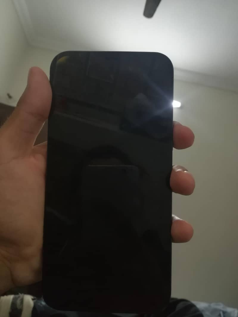 Apple iPhone 12 Pro Max 0