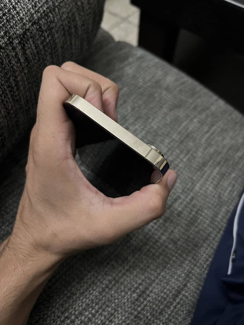 Apple iPhone 14 Pro Max 4