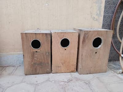 Parrot breeding box