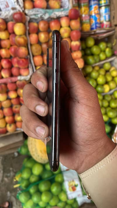 Apple iPhone X