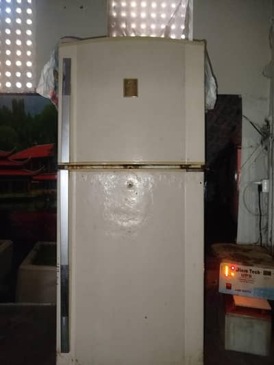 large siz All oky good condition