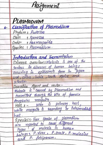 Professional Handwriting Work & Data Entry Services