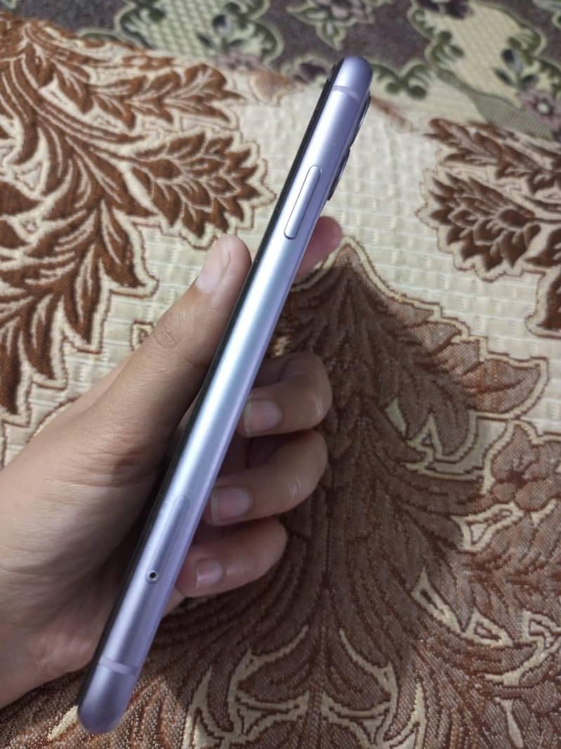 Apple iPhone 11 0