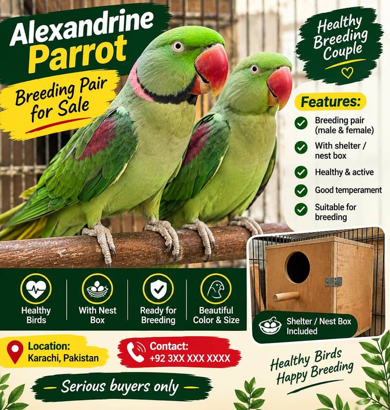 Raw Breeding Pair 0