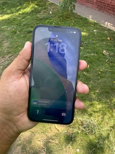 Apple iPhone 13 JV  100 health