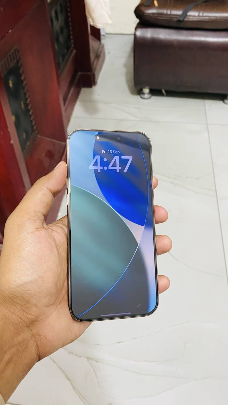 Apple iPhone 16 Pro Max 2