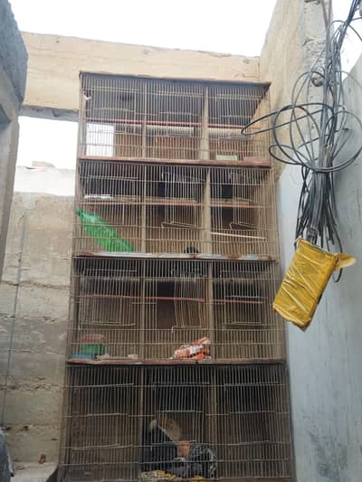 birds cage