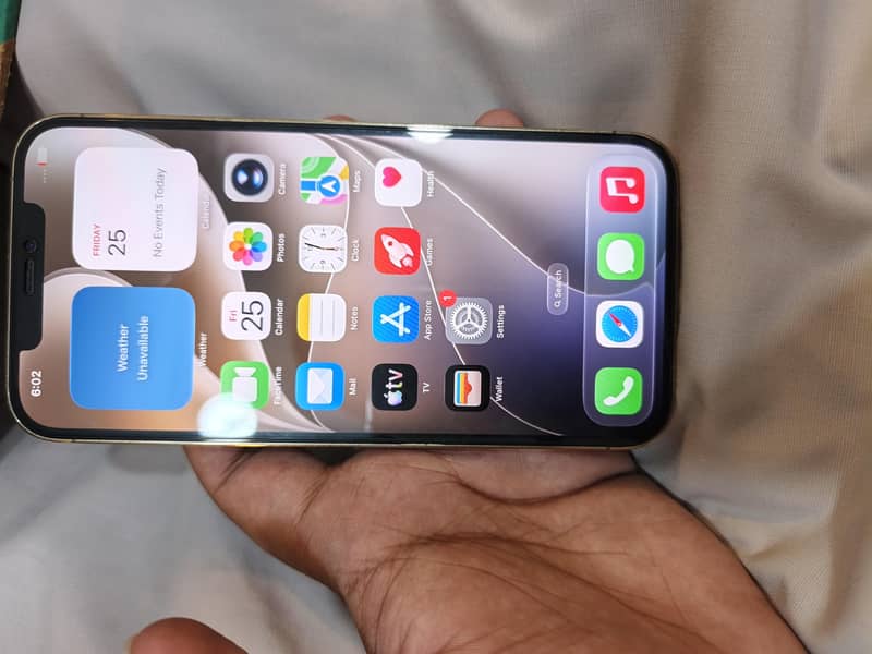 Apple iPhone 12 Pro Max 5