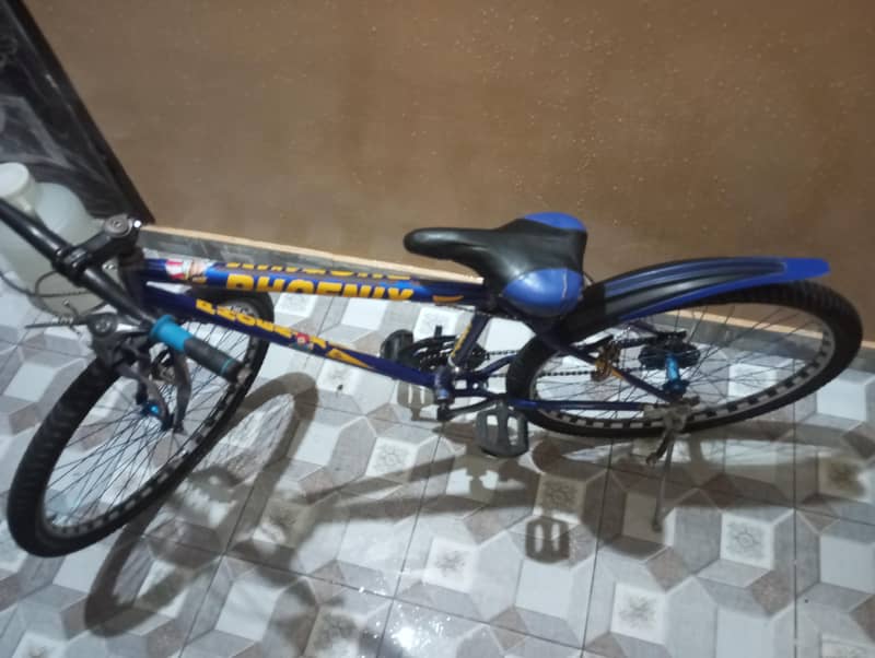 phoenix cycle 0
