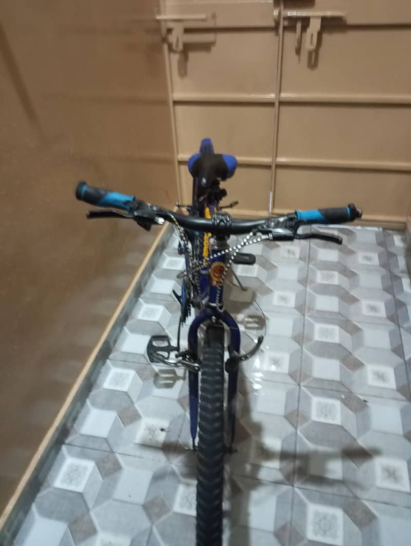 phoenix cycle 1