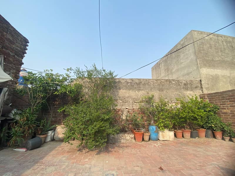 plants 1