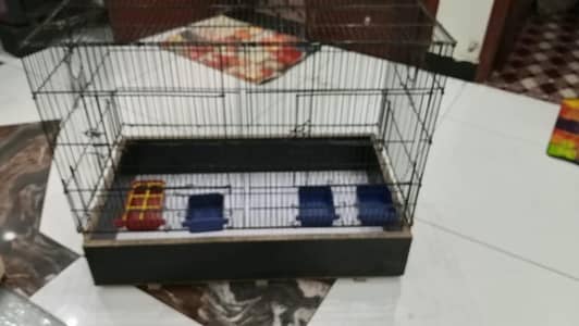 Cage for sale with wood box and hadia