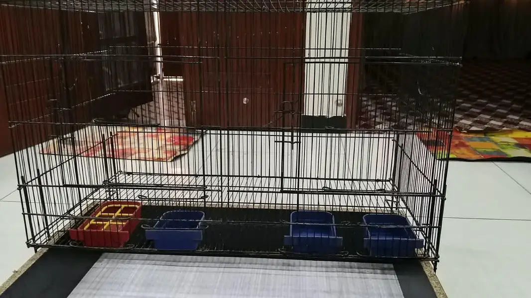 Cage for sale with wood box and hadia — photo 3