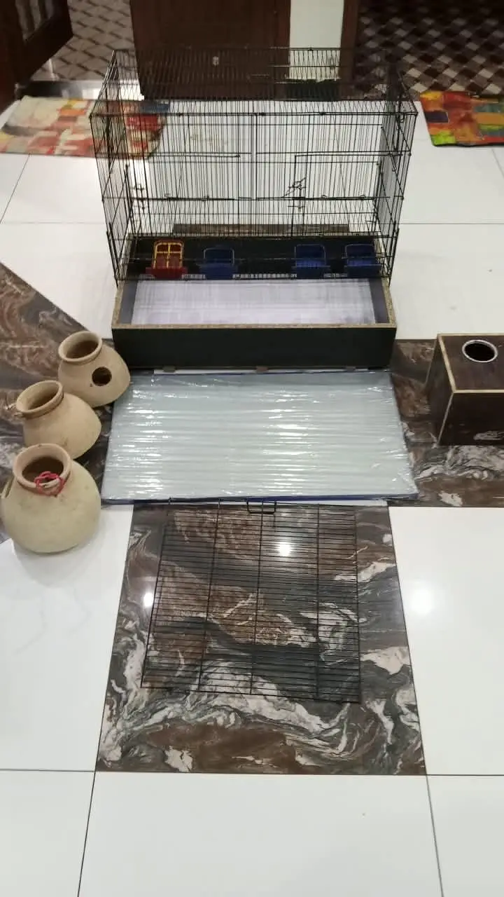 Cage for sale with wood box and hadia — photo 5