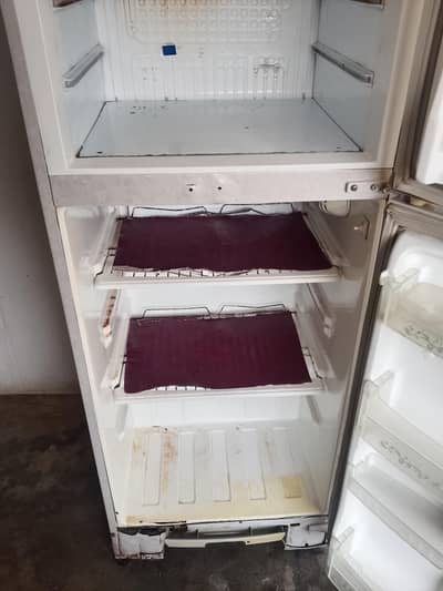 pel fridge