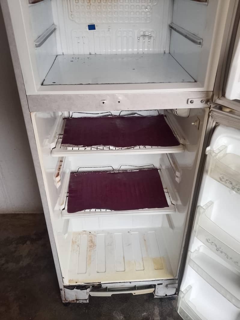 pel fridge 0