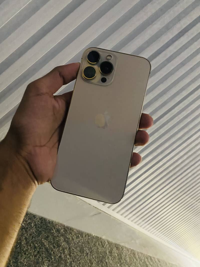 Apple iPhone 13 Pro Max 1