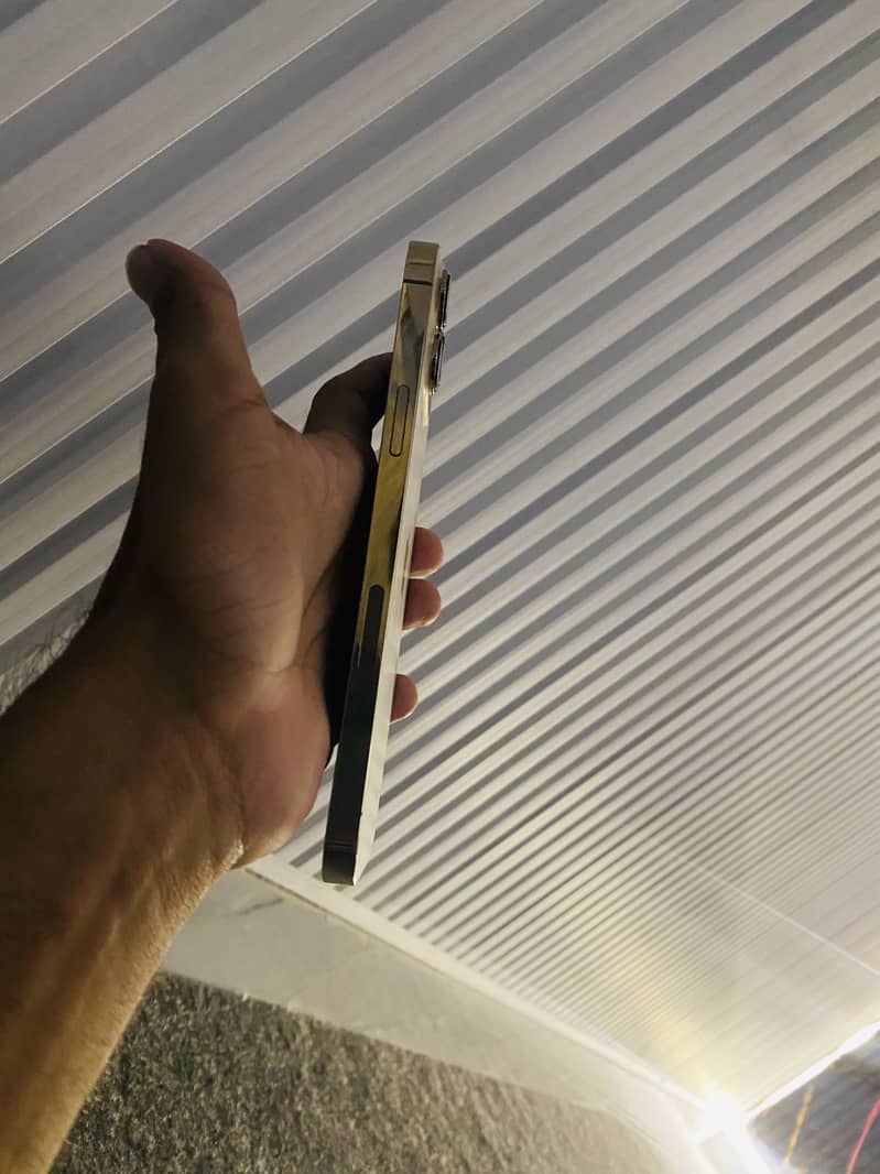 Apple iPhone 13 Pro Max 5