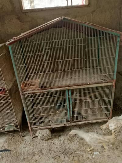 Cages