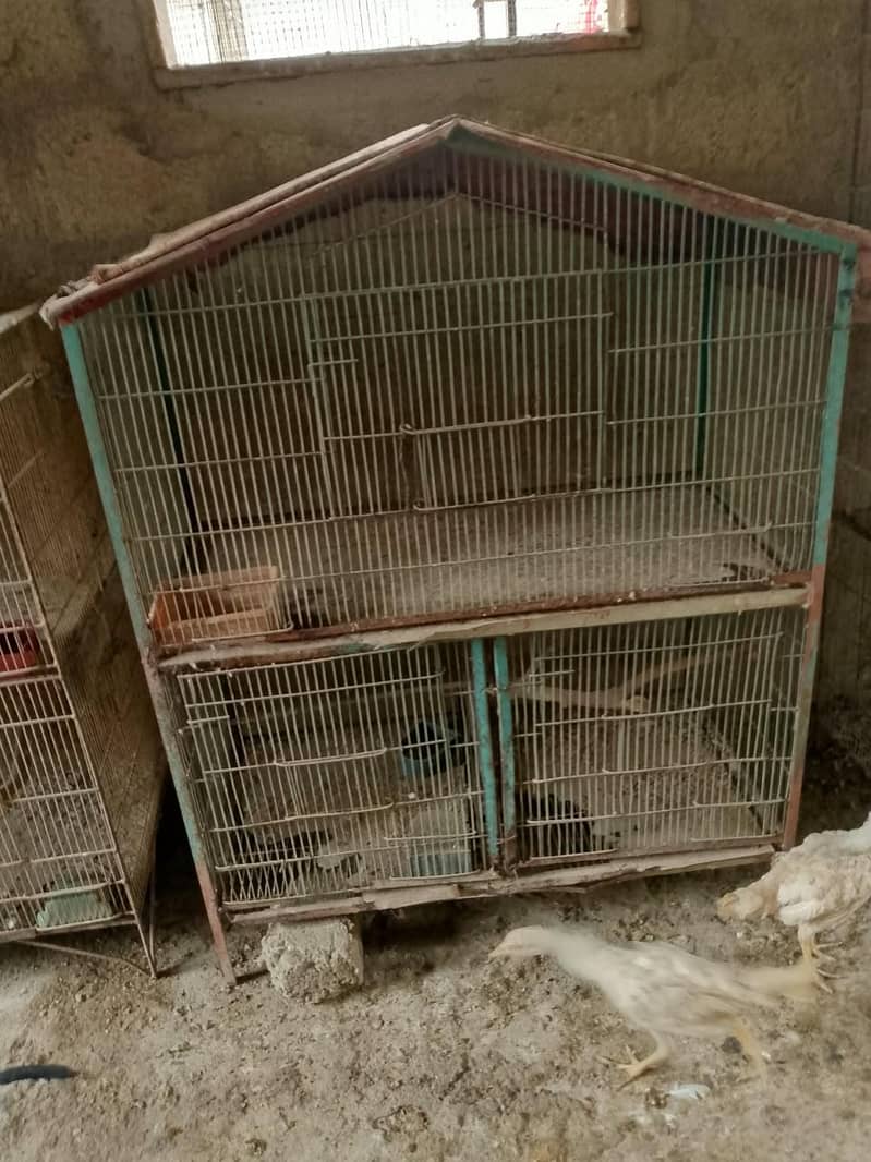 Cages 0