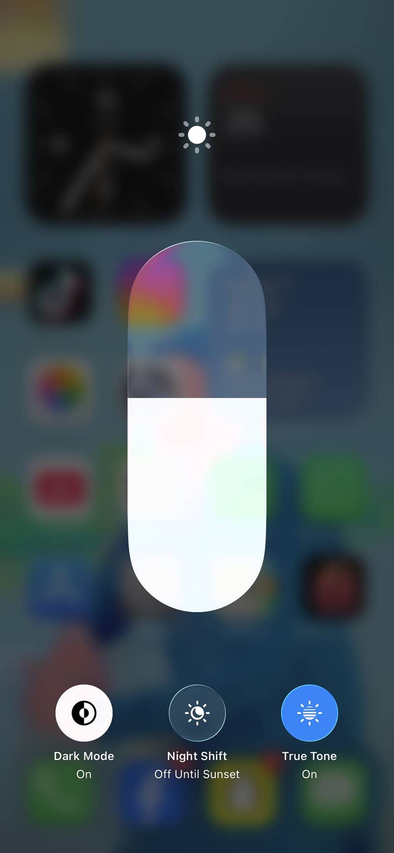 Apple iPhone 11 Pro Max 2
