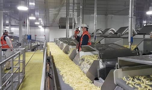 NEED WORKER FOR FRIES MANUFACTURER