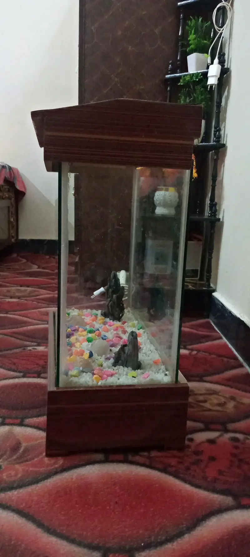 Equriam and Abshark — photo 2