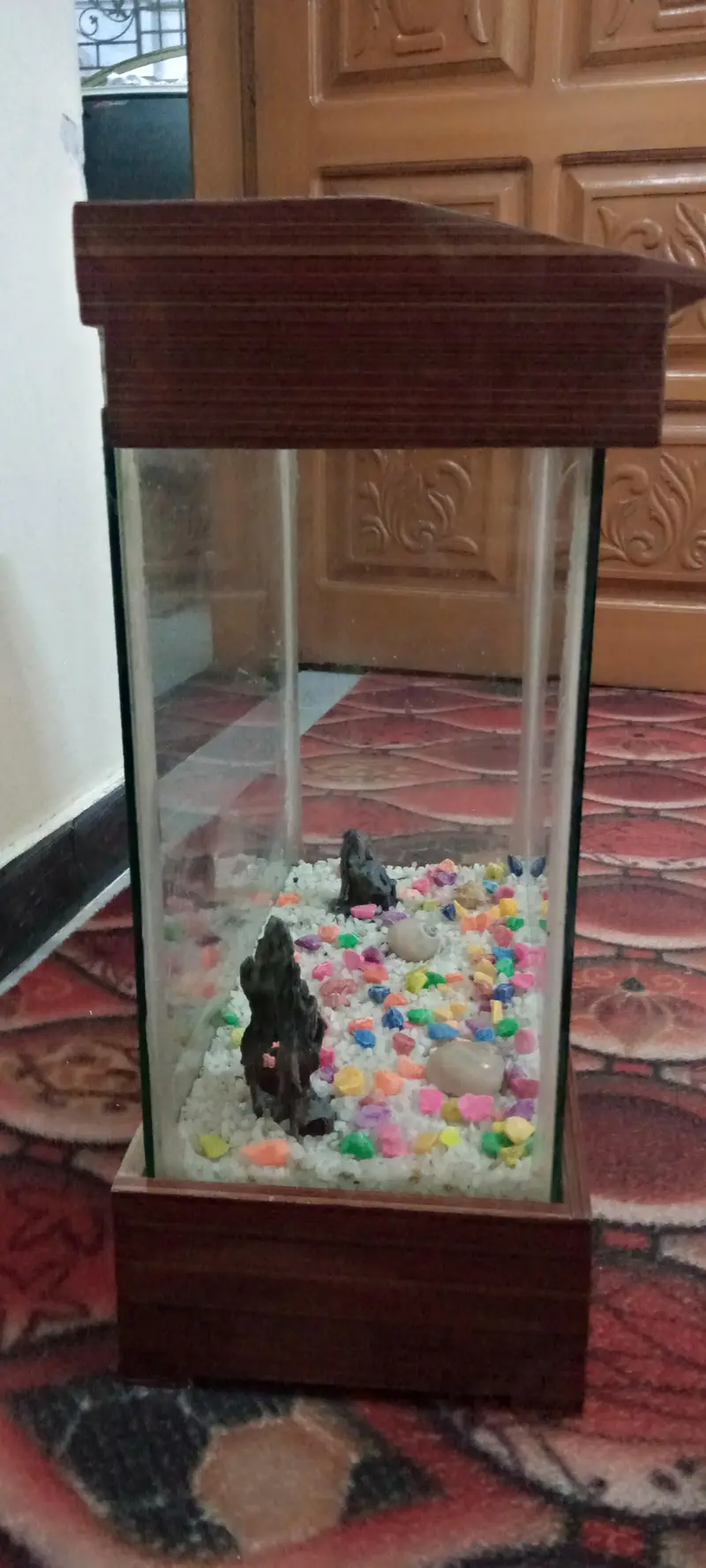 Equriam and Abshark — photo 3