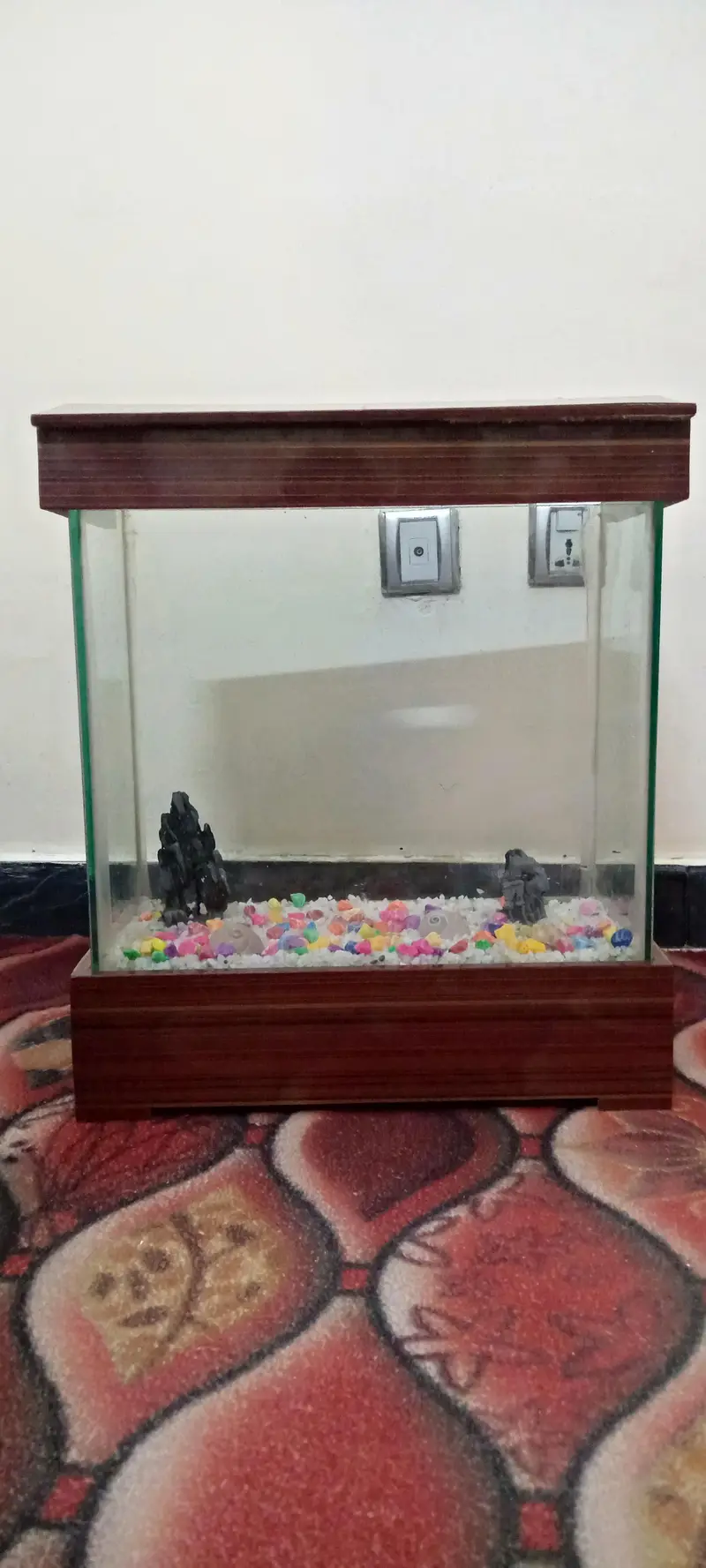 Equriam and Abshark — photo 5