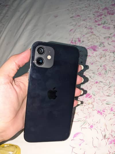 IPHONE 12 [BLUE]