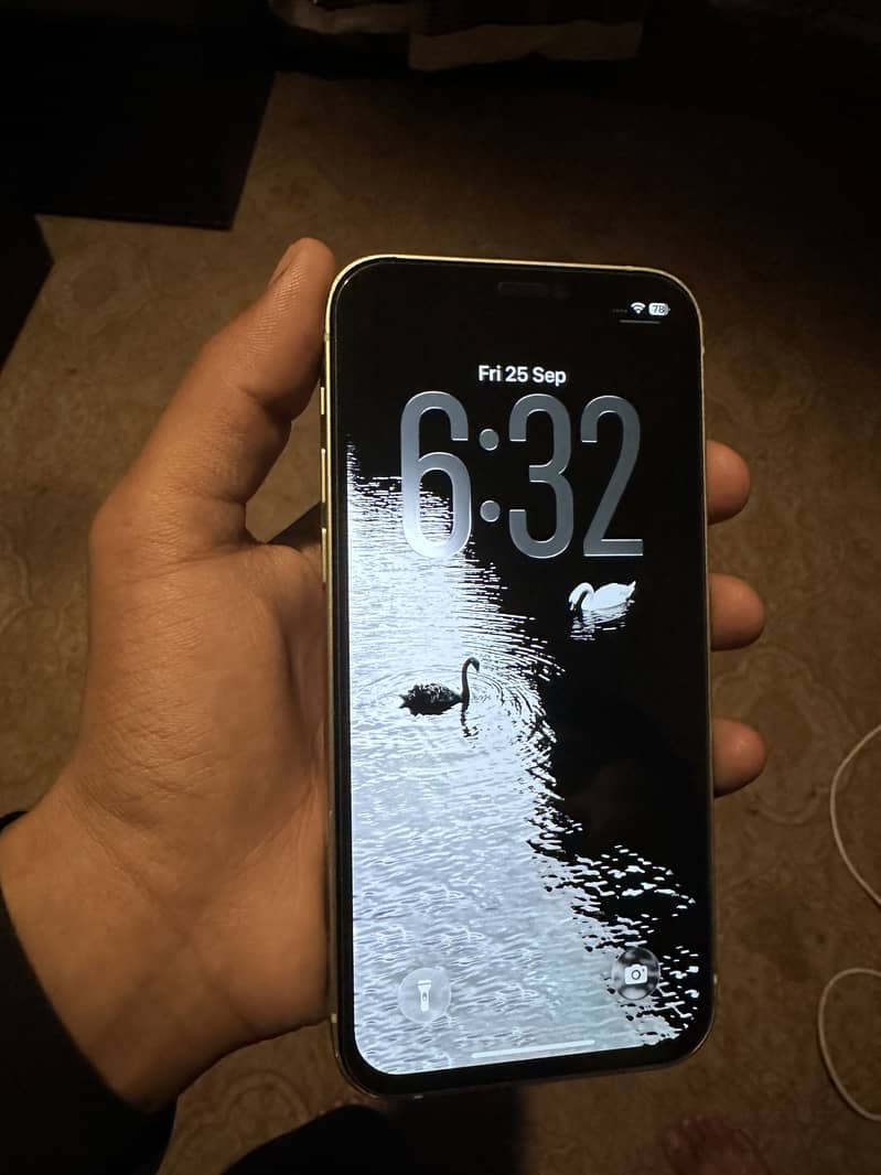 Apple iPhone 12 1