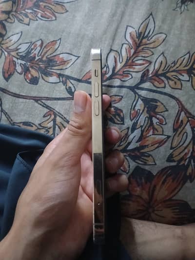 Apple iPhone 12 Pro
