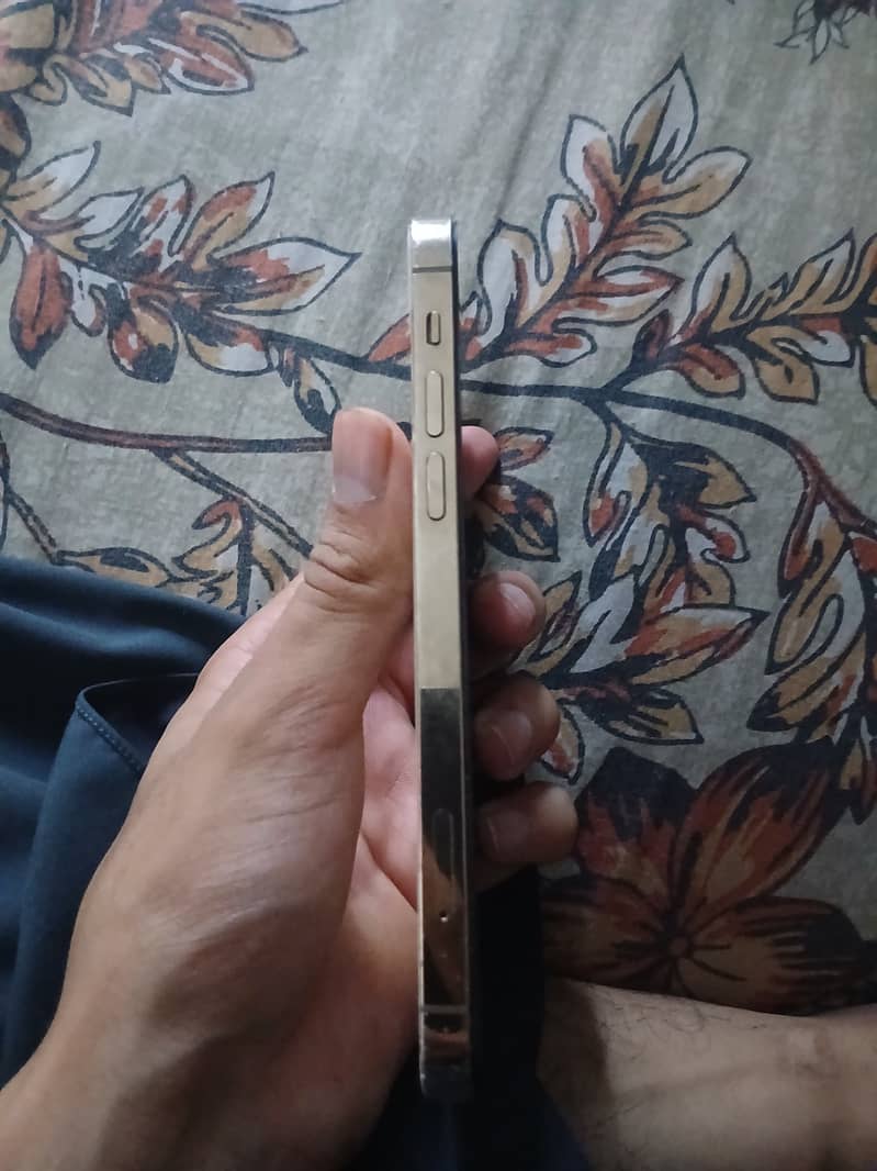 Apple iPhone 12 Pro 0