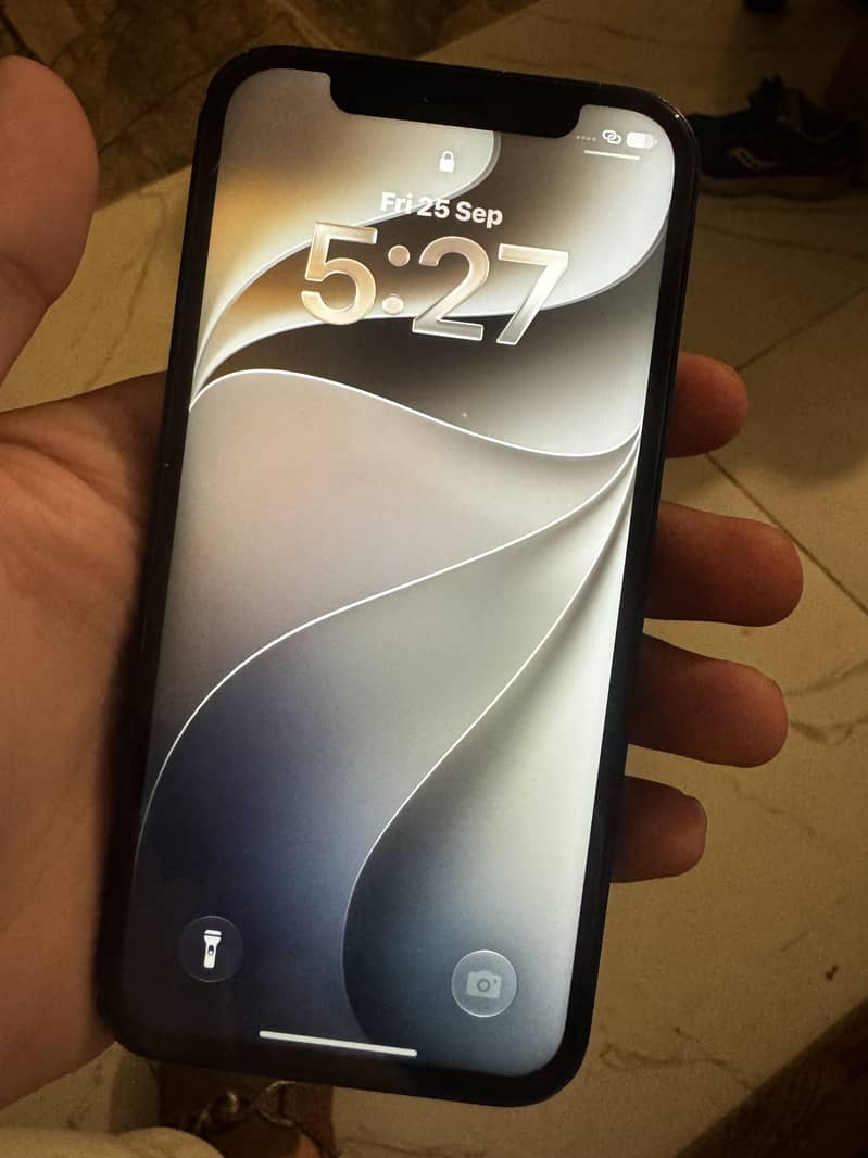 Apple iPhone 12 0