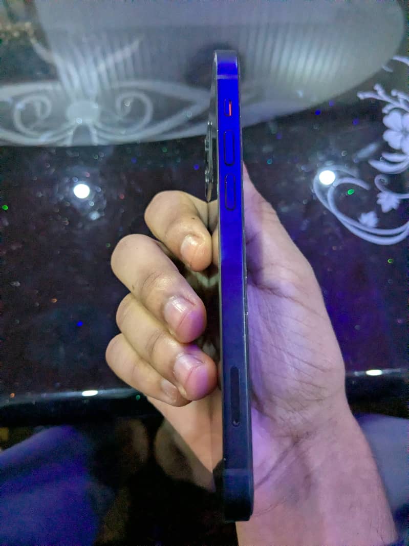 Apple iPhone 12 1