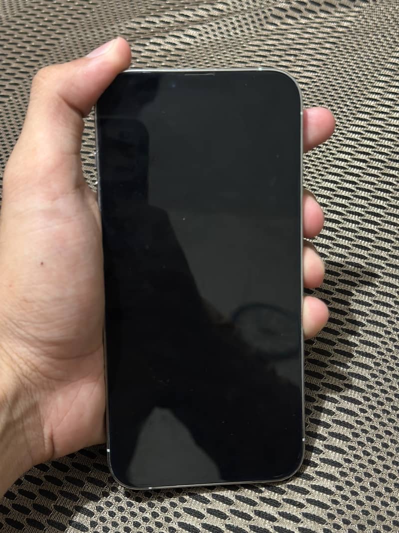 Apple iPhone 13 Pro Max 3