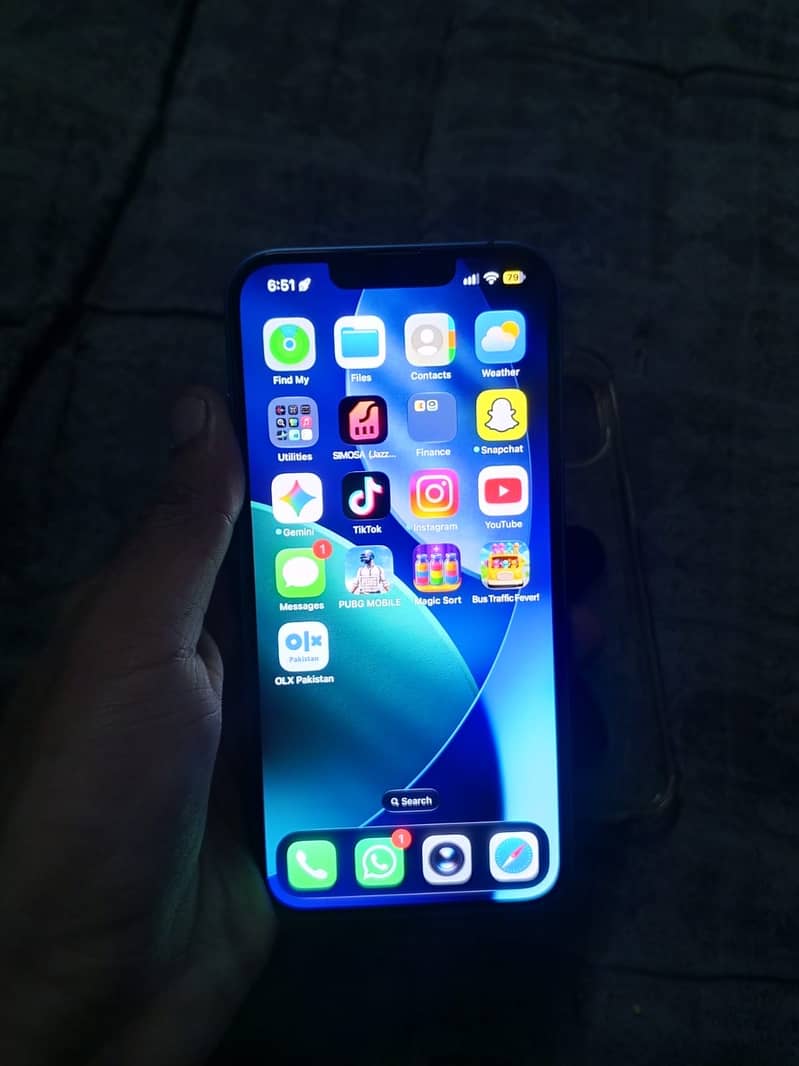 Apple iPhone 13 12