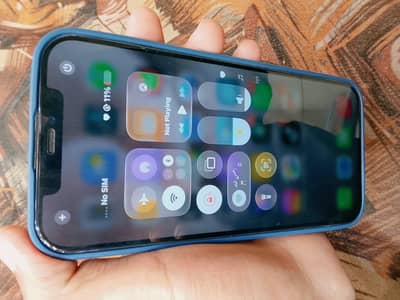 Apple iPhone 12 Pro Max