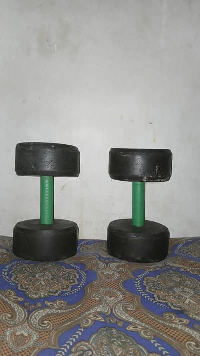 4 kg  gyn Dumbell pair