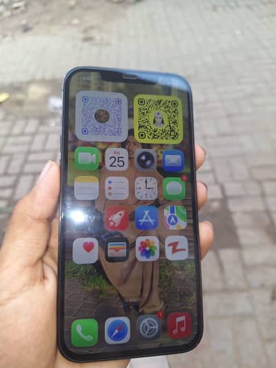 Apple iPhone 12 Pro Max