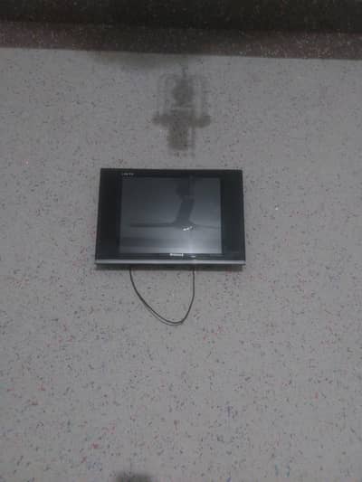 only TV