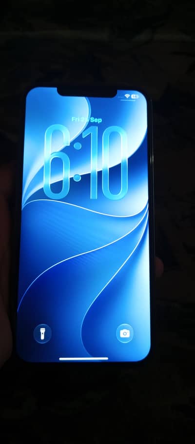 Apple iPhone 12 Pro Max