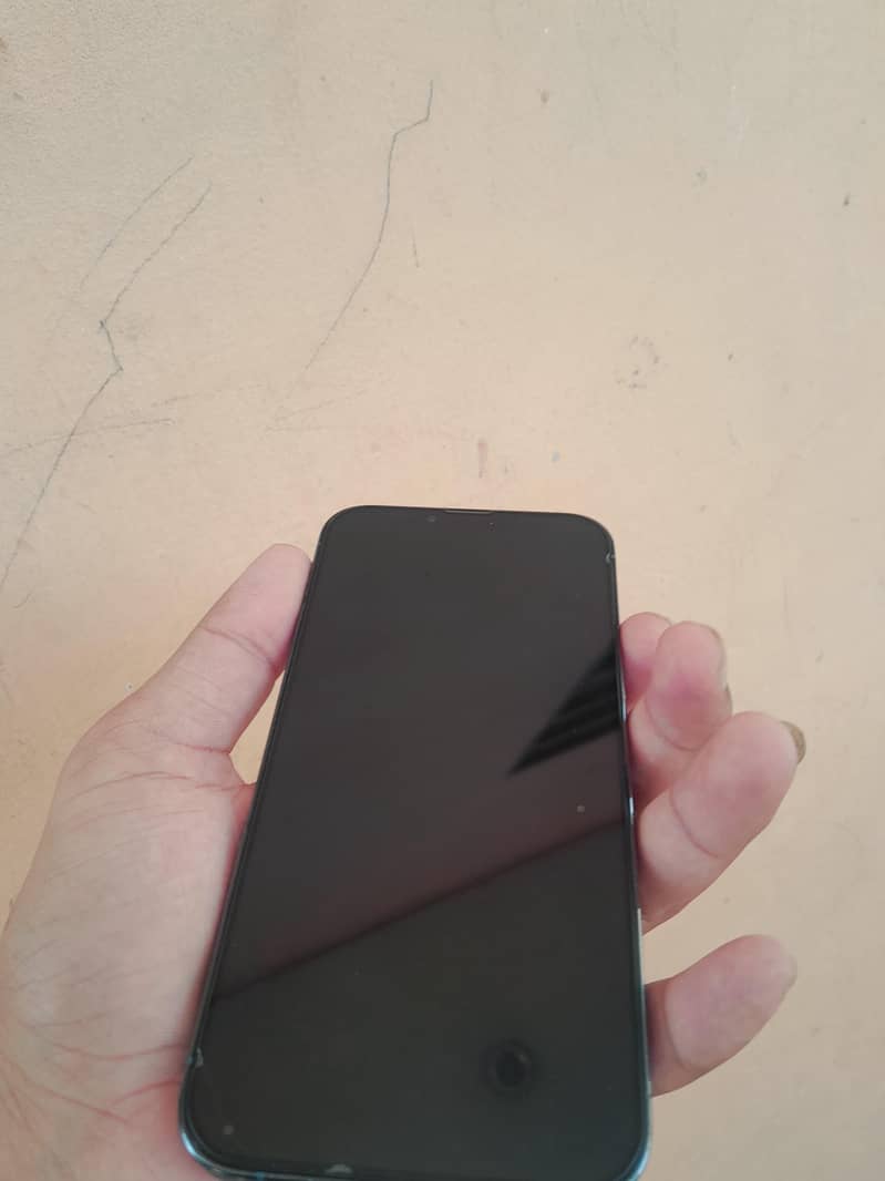 Apple iPhone 13 Pro Max 1