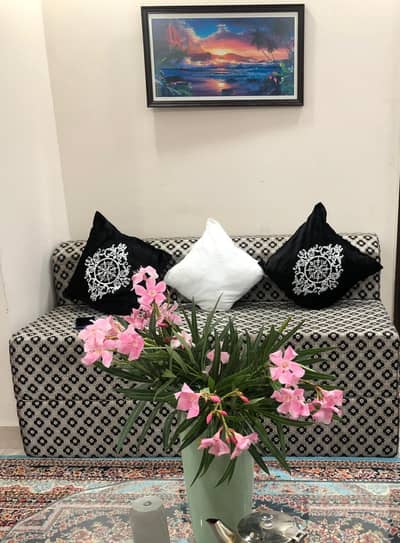 Sofa Bed