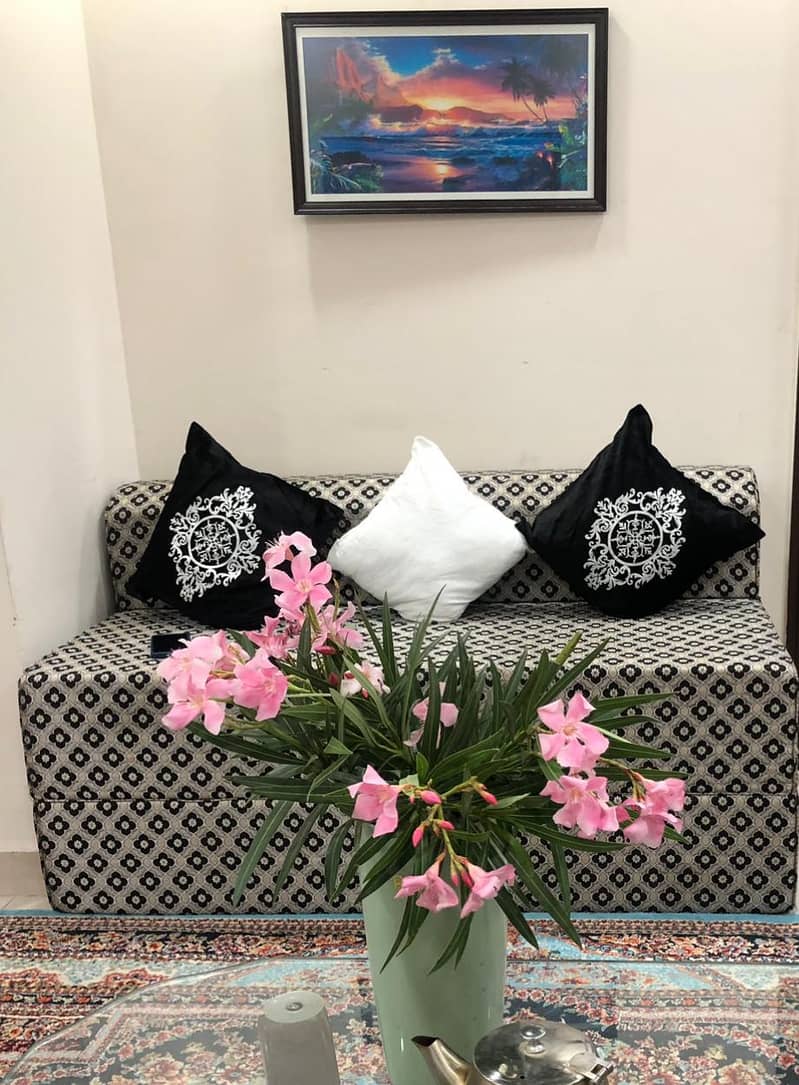 Sofa Bed 0
