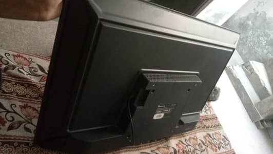 LCD dalwense