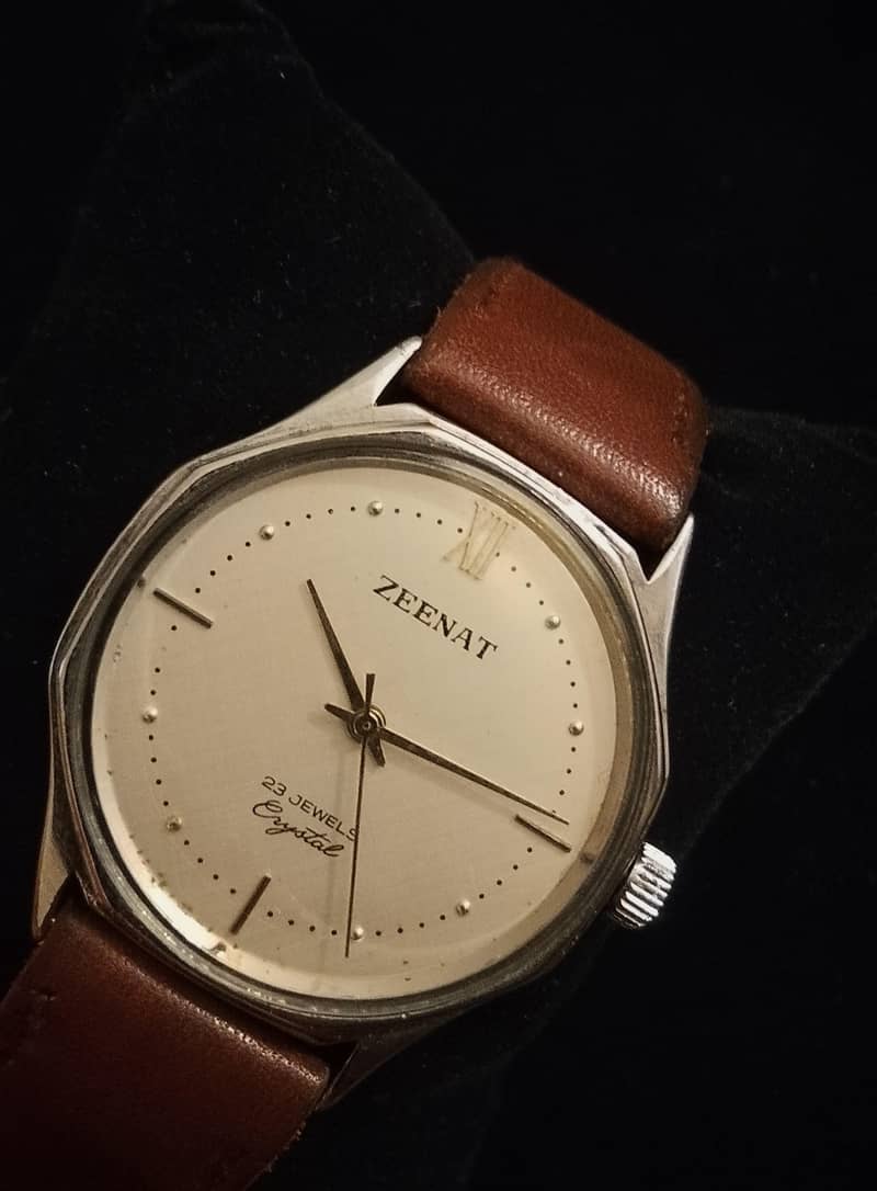 ROAMER ANFIBIO 11