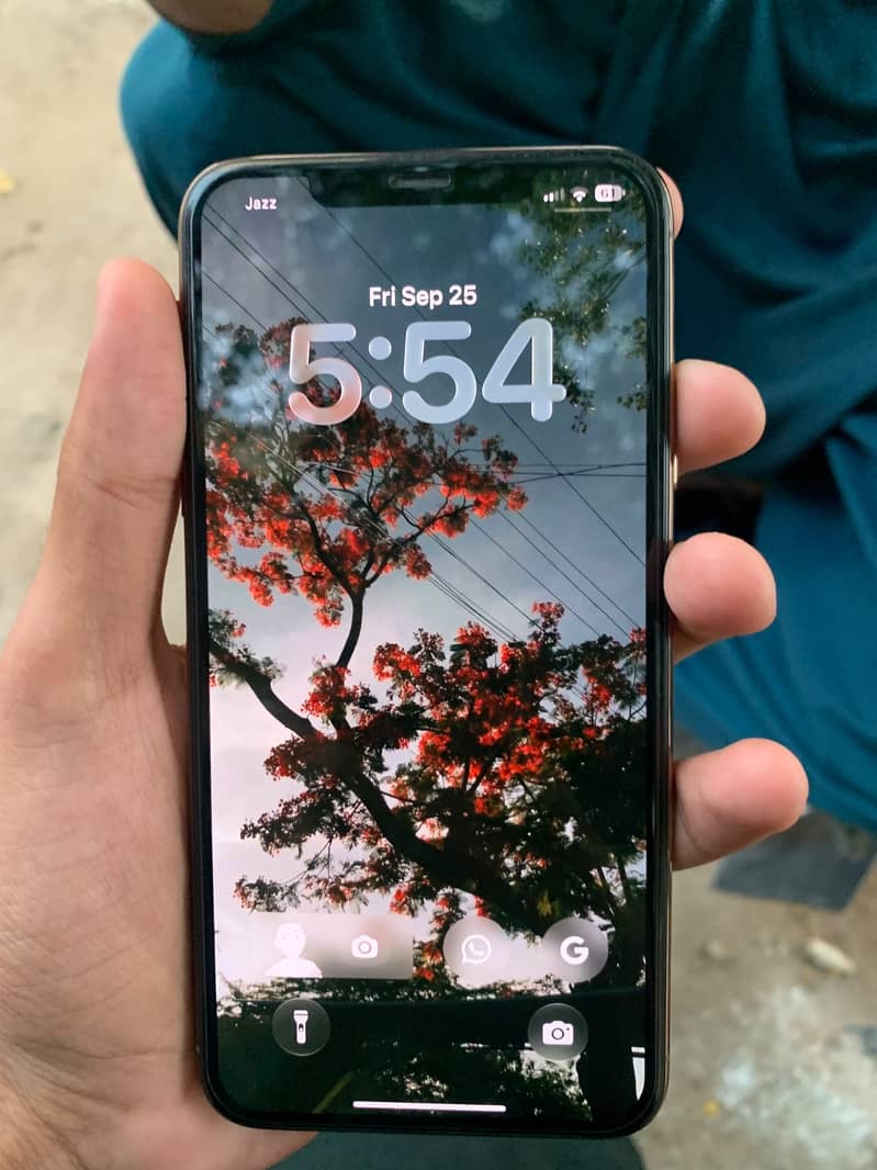 Apple iPhone 11 Pro Max 6