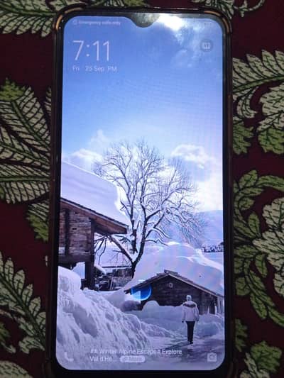 Vivo Y19
