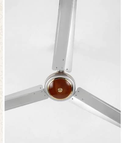 Fan.         g